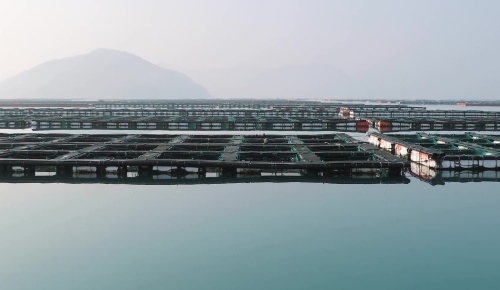 南藝UPVC管材在海水漁業(yè)領(lǐng)域應(yīng)用價(jià)值